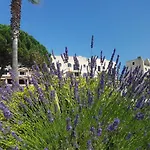 Διαμέρισμα Magnifique 2 Pieces Vue Port Et *
