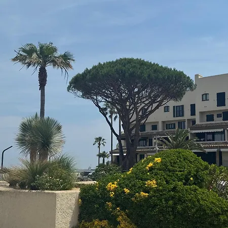 Magnifique 2 Pieces Vue Port Et דירה *